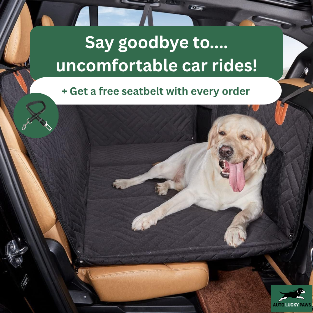 AutoLuckyPaws™ - Hard Bottom Dog Car Seat Protector
