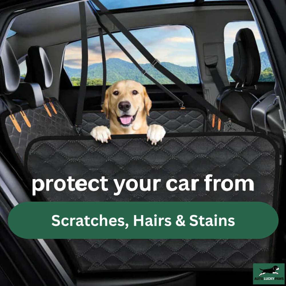 AutoLuckyPaws™ - Hard Bottom Dog Car Seat Protector